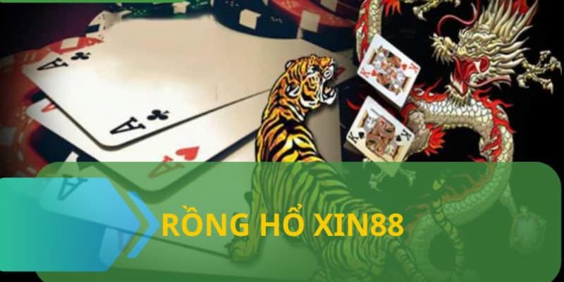 Thông tin về dòng bài Dragon Tiger đình đám nhất năm nay